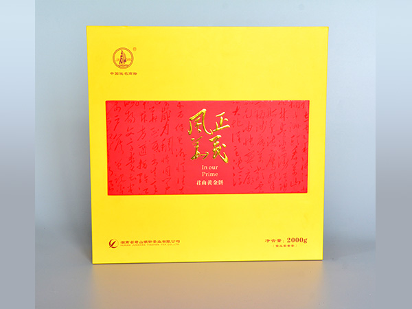 風(fēng)華正茂